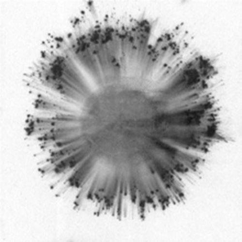 Trentemoller - Obverse