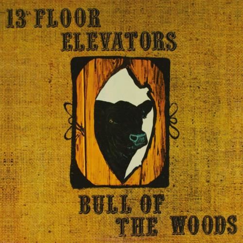 13th Floor Elevators - Bull Of The Woods