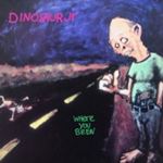 Dinosaur Jr. - Where You Been: Deluxe
