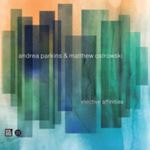 Andrea Parkins/matthew Ostrowski - Elective Affinities