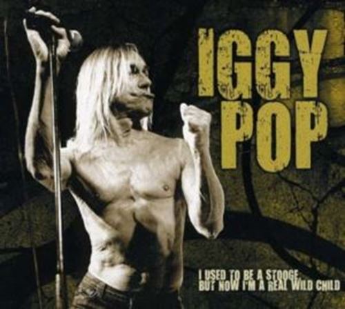 Iggy Pop - I Used To Be A Stoodge, But Now I'm