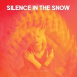 Silence In The Snow - Levitation Chamber