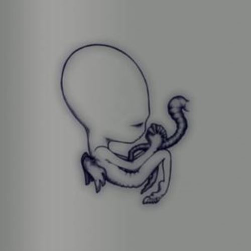 Sigur Rós - Ágætis Byrjun: A Good Beginni