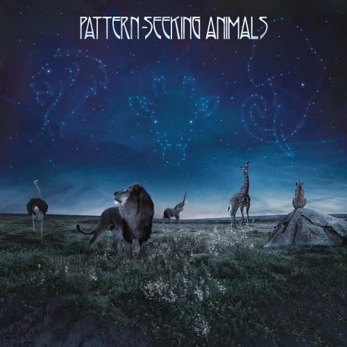 Pattern-seeking Animals - Pattern-seeking Animals