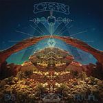 Chris Robinson Brotherhood - Big Moon Ritual