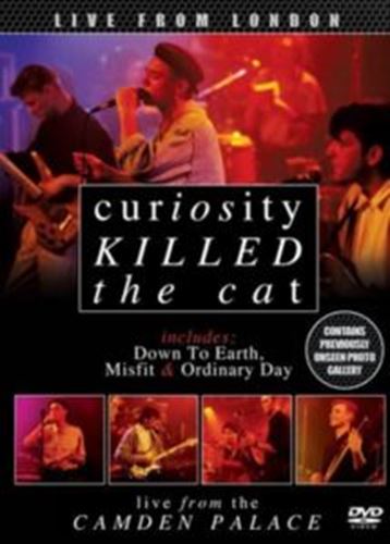 Curiosity Killed the Cat - Live From London