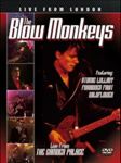 Blow Monkeys - Live From London