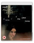 A Dog Called Money [2019] - Pj Harvey