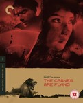 The Cranes Are Flying (1957) [2020] - T. Samoylova