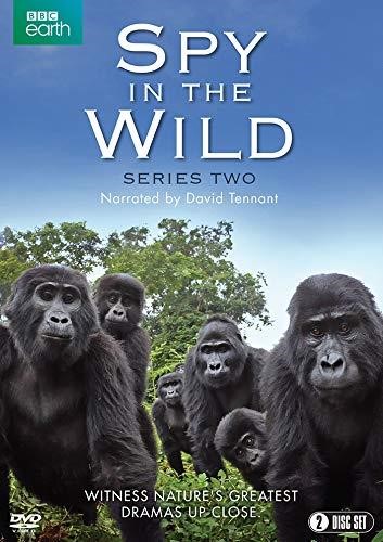 Spy In The Wild: Series 2 [2020] - David Tennant