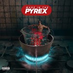 Digga D - Made In The Pyrex