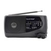Lloytron Portable Radio - N736