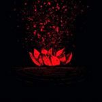 Lotus Thief - Oresteia