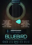 Bluebird: An Accidental Landmark [2 - That Changed History