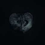 Sadon/treha Sektori - Symphomy Of Dying