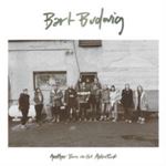 Bart Budwig - Another Burn On The Astroturf