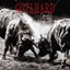 Gotthard - #13 Deluxe