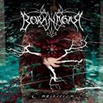 Borknagar - Empiricism