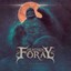 Heathen Foray - Weltenwandel