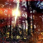 Viviankrist - Cross Modulation Bootleg Remixes
