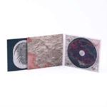 Thecodontion - Supercontinent
