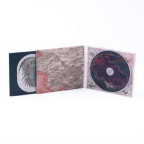Thecodontion - Supercontinent