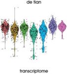 De Tian - Transcriptome