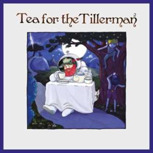 Yusuf/Cat Stevens - Tea For The Tillerman