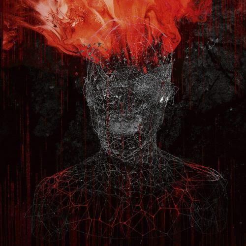 Mygrain - V