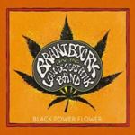 Brant Bjork/low Desert Punk Band - Black Power Flower