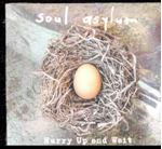Soul Asylum - Hurry Up And Wait