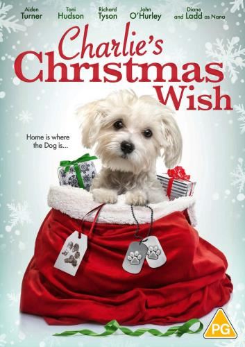 Charlie's Christmas Wish [2020] - Aiden Turner