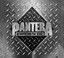 Pantera - Reinventing The Steel