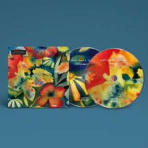 Adrianne Lenker - Songs And Instrumentals
