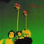 Gun Club - Miami