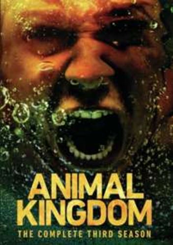 Animal Kingdom: Season 3 - Film
