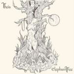 Elephant Tree - Theia