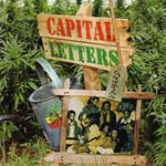 Capital Letters - Vinyard