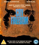 Cry Freedom - Denzel Washington
