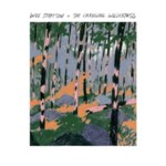 Will Stratton - Changing Wilderness