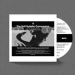 Flaming Lips - Soft Bulletin Companion