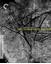 Hiroshima Mon Amour (1959) - Film