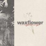 Waxflower - We Might Be Alright