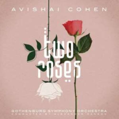 Avishai Cohen - Two Roses