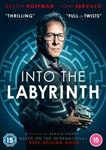 Into The Labyrinth [2019] - Film