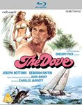 The Dove - Joseph Bottoms