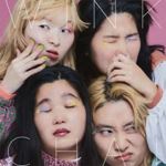 Wink - Chai
