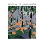 Will Stratton - Changing Wilderness
