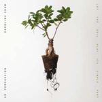 Caroline Shaw - Let The Soil Play Its Simple Part