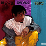 Youngs Teflon - Blood, Swag & Tears
